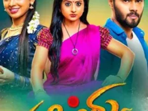 50+ Kannada Channels*