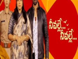 100+ Telugu Channels*